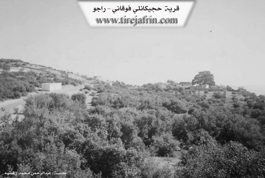 Photo of Ĥêcîka Jorin